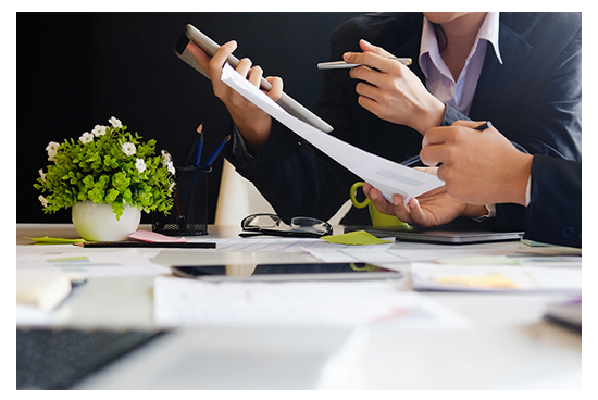 Interactive finance submission planner